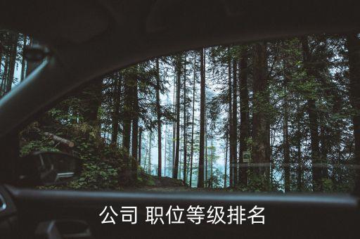  公司 職位等級(jí)排名