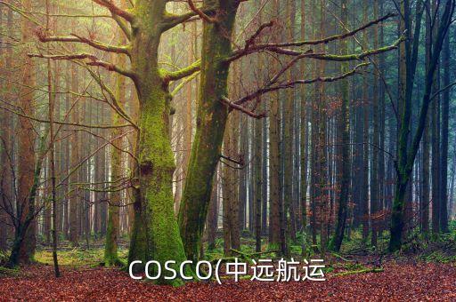 COSCO(中遠航運