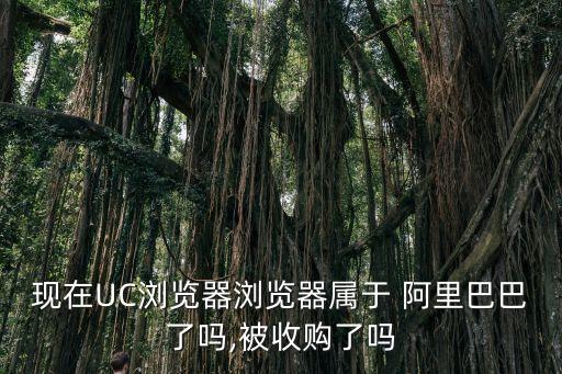 現(xiàn)在UC瀏覽器瀏覽器屬于 阿里巴巴了嗎,被收購了嗎