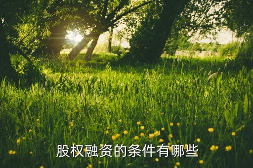 股權(quán)投資核心條款,帶回購條款的股權(quán)投資