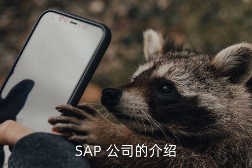 SAP 公司的介紹