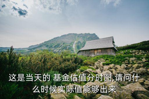 這是當天的 基金估值分時圖,請問什么時候?qū)嶋H值能夠出來