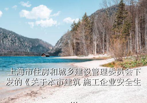  上海市住房和城鄉(xiāng)建設管理委員會下發(fā)的《關于本市建筑 施工企業(yè)安全生...