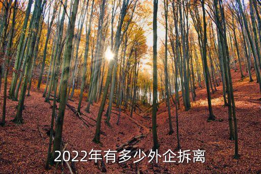 2022年有多少外企拆離