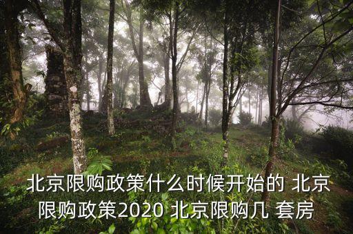  北京限購政策什么時(shí)候開始的 北京限購政策2020 北京限購幾 套房