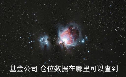  基金公司 倉位數(shù)據(jù)在哪里可以查到