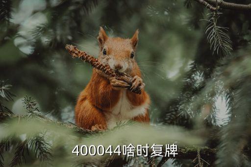 400044啥時(shí)復(fù)牌