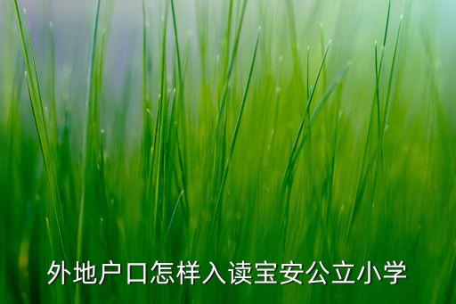 外地戶口怎樣入讀寶安公立小學(xué)