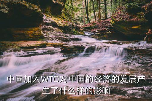 中國加入WTO對中國的經(jīng)濟(jì)的發(fā)展產(chǎn)生了什么樣的影響