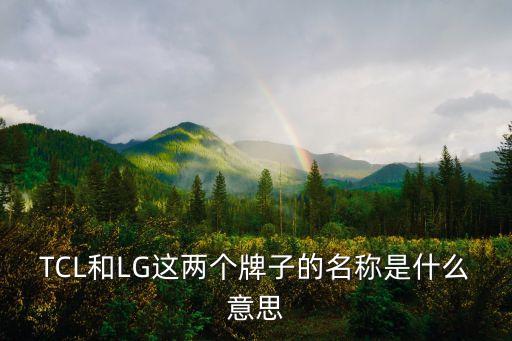 TCL和LG這兩個(gè)牌子的名稱是什么意思