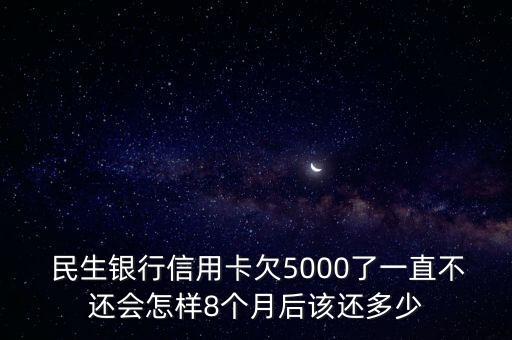  民生銀行信用卡欠5000了一直不還會怎樣8個(gè)月后該還多少