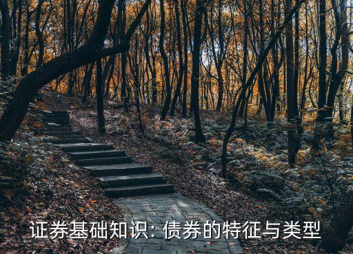 證券基礎(chǔ)知識: 債券的特征與類型