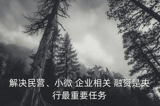 股票融資對(duì)小微企業(yè)有什么影響