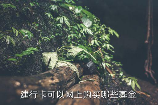 建行卡可以網(wǎng)上購買哪些基金