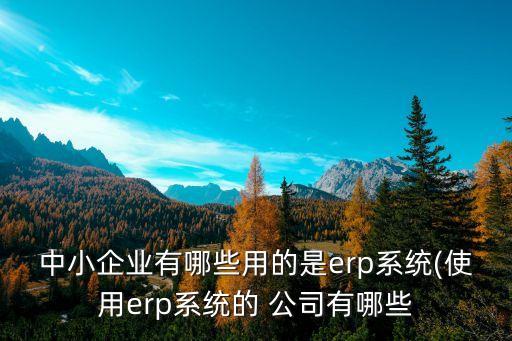 中小企業(yè)有哪些用的是erp系統(tǒng)(使用erp系統(tǒng)的 公司有哪些