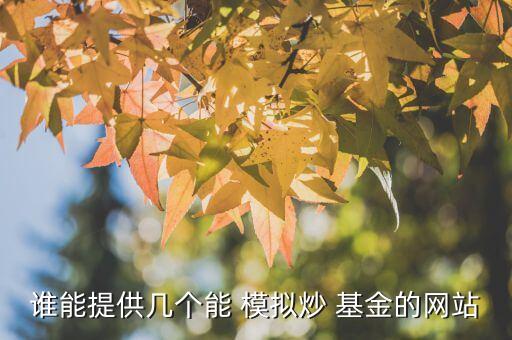 模擬買(mǎi)基金,最真實(shí)的模擬基金軟件