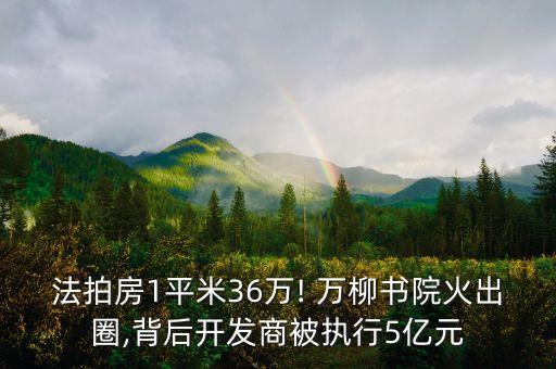 法拍房1平米36萬! 萬柳書院火出圈,背后開發(fā)商被執(zhí)行5億元