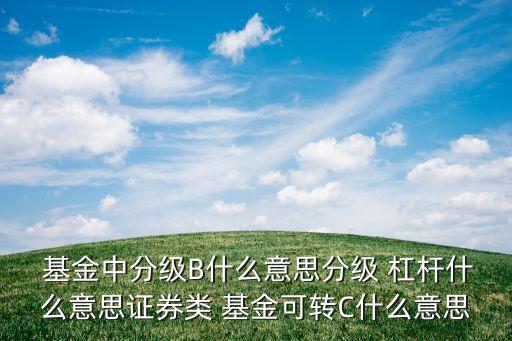  基金中分級B什么意思分級 杠桿什么意思證券類 基金可轉(zhuǎn)C什么意思