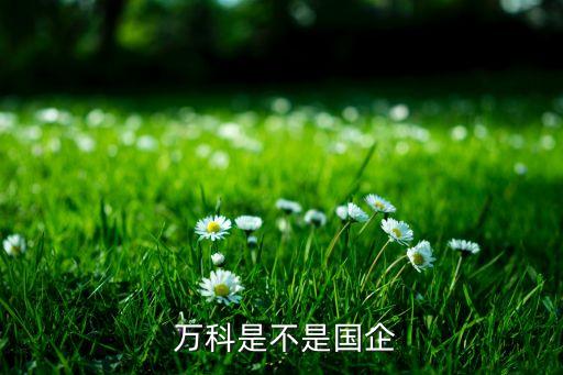 萬科公司治理結(jié)構(gòu)圖,四會一層公司治理結(jié)構(gòu)圖