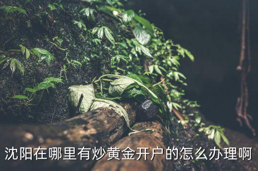 沈陽(yáng)在哪里有炒黃金開(kāi)戶的怎么辦理啊