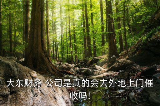 大東財(cái)務(wù) 公司是真的會去外地上門催收嗎!