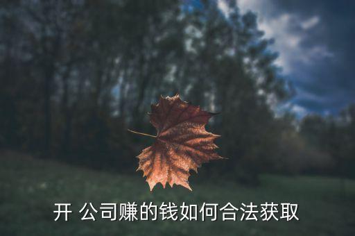 怎么賺公司的錢,怎么知道公司賺了多少錢