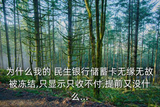 民生銀行董事長(zhǎng)董文標(biāo)出逃