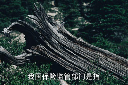 我國保險(xiǎn)監(jiān)管部門是指