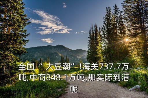 全國(guó)“ 大豆潮”!海關(guān)737.7萬(wàn)噸,中商848.1萬(wàn)噸,那實(shí)際到港呢