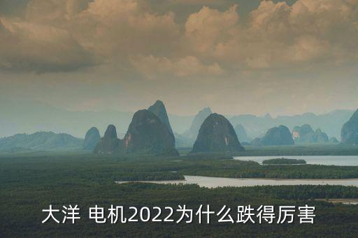 大洋 電機2022為什么跌得厲害