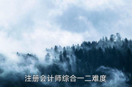 注冊(cè)會(huì)計(jì)師綜合一二難度