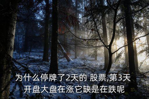 為什么停牌了2天的 股票,第3天 開(kāi)盤大盤在漲它缺是在跌呢