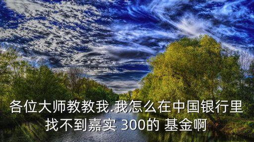 加實(shí)300基金吧,加實(shí)穩(wěn)健基金凈值