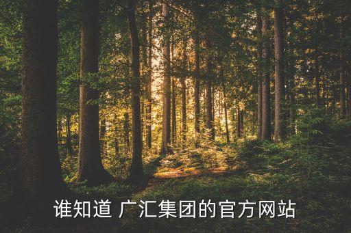 誰知道 廣匯集團(tuán)的官方網(wǎng)站