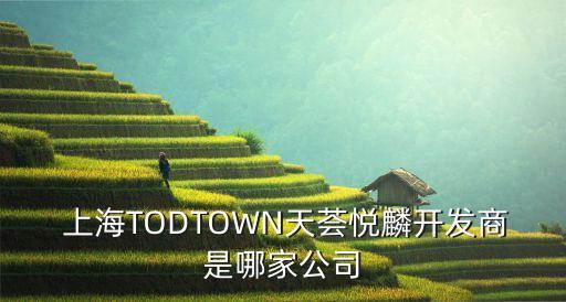  上海TODTOWN天薈悅麟開發(fā)商是哪家公司