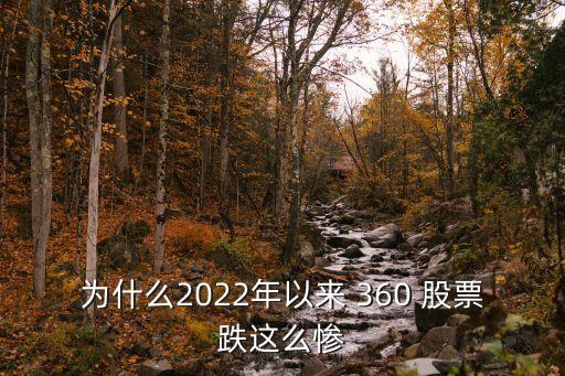 為什么2022年以來 360 股票跌這么慘