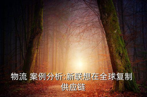 成功運(yùn)用了供應(yīng)鏈管理回購(gòu)契約公司案例