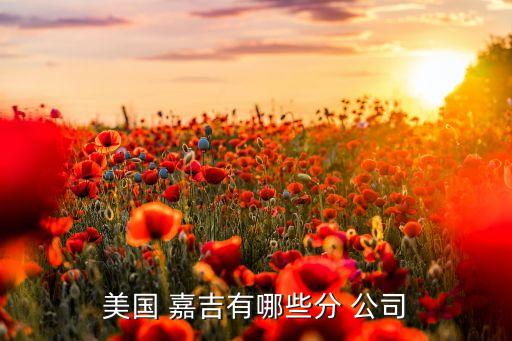 嘉吉公司亞太總裁