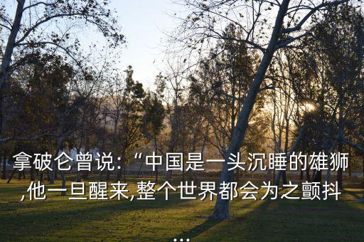 拿破侖曾說:“中國是一頭沉睡的雄獅,他一旦醒來,整個(gè)世界都會(huì)為之顫抖...