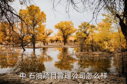 中 石油項(xiàng)目管理公司怎么樣