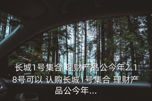 長城1號集合 理財產(chǎn)品公今年2.18號可以 認購長城1號集合 理財產(chǎn)品公今年...