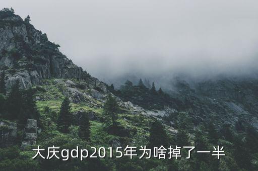 大慶gdp2015年為啥掉了一半