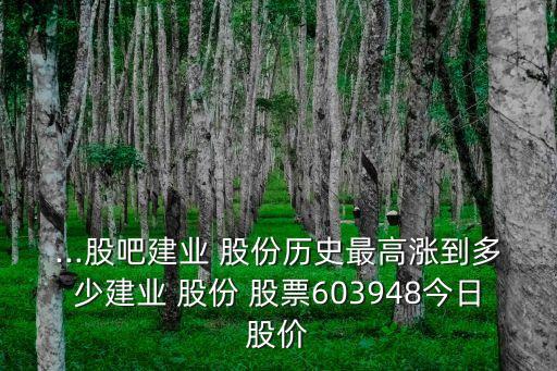 ...股吧建業(yè) 股份歷史最高漲到多少建業(yè) 股份 股票603948今日股價(jià)