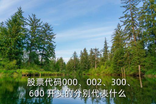  股票代碼000、002、300、600 開(kāi)頭的分別代表什么