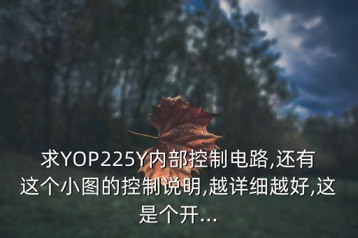 求YOP225Y內(nèi)部控制電路,還有這個小圖的控制說明,越詳細越好,這是個開...