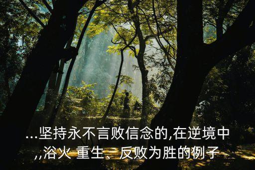 ...堅持永不言敗信念的,在逆境中,,浴火 重生、反敗為勝的例子