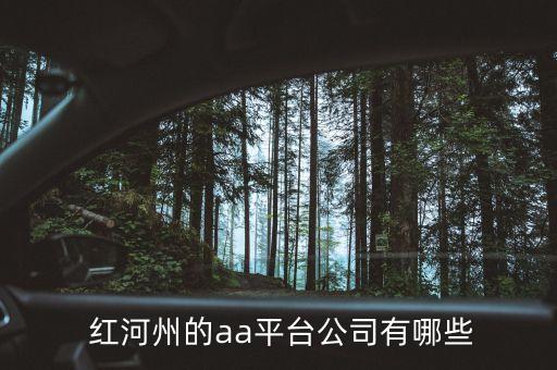  紅河州的aa平臺(tái)公司有哪些