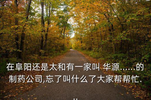 上海華源股份,華源股份有限責(zé)任公司