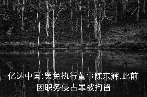 億達(dá)中國:罷免執(zhí)行董事陳東輝,此前因職務(wù)侵占罪被拘留