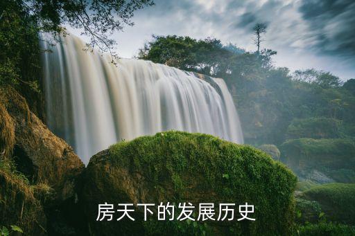 搜房網(wǎng)上市當日股票價格